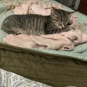 Meet your Posher, Cindy